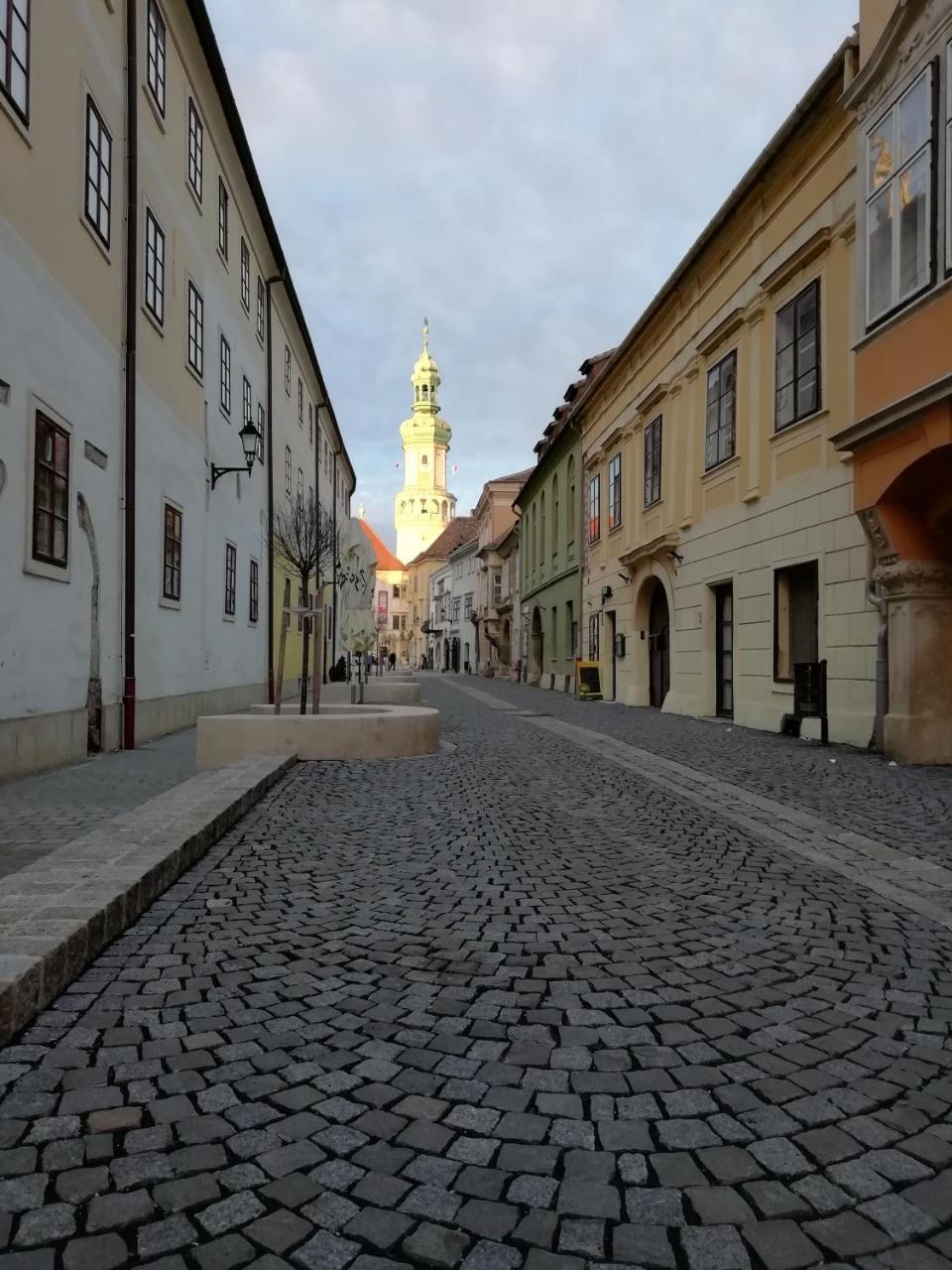 Fueredi Haz Apartman Apartment Sopron Exterior photo